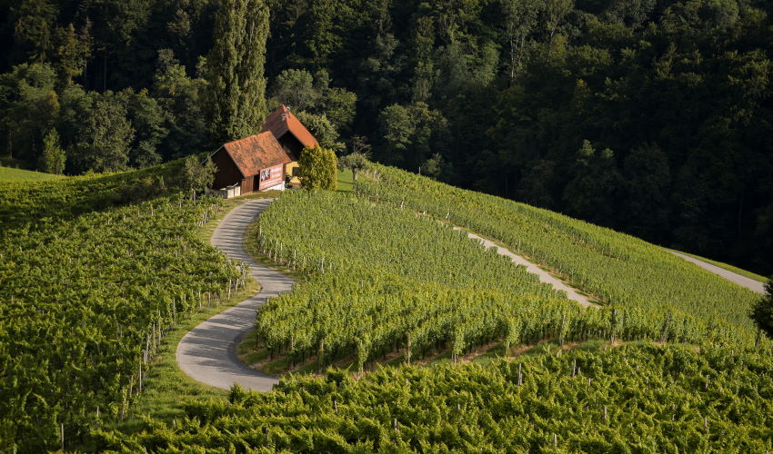 Slikovita Slovenija - Slovenske Gorice