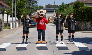 3D zebra v Murski Soboti