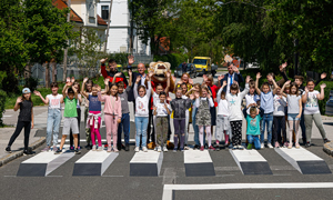 3D zebra v Novem mestu