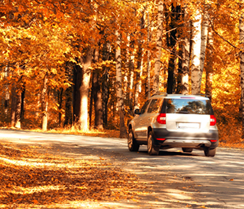 Jesenske in zimske vozne razmere so lahko za voznike še posebej težka preizkušnja, saj se pogosteje srečamo z nevarnimi situacijami.