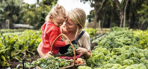 Naložbeno zavarovanje odgovorna prihdnost