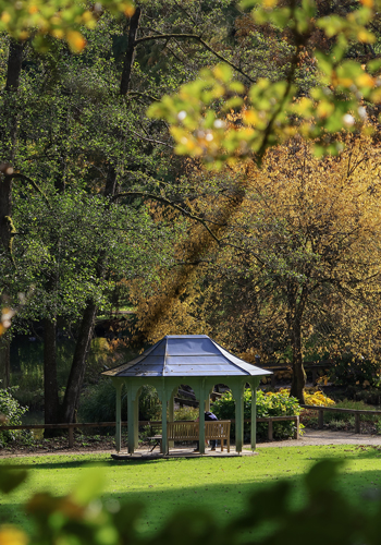 Prizor iz Arboretuma Volčji Potok, ki ga Generali podpira že vrsto let