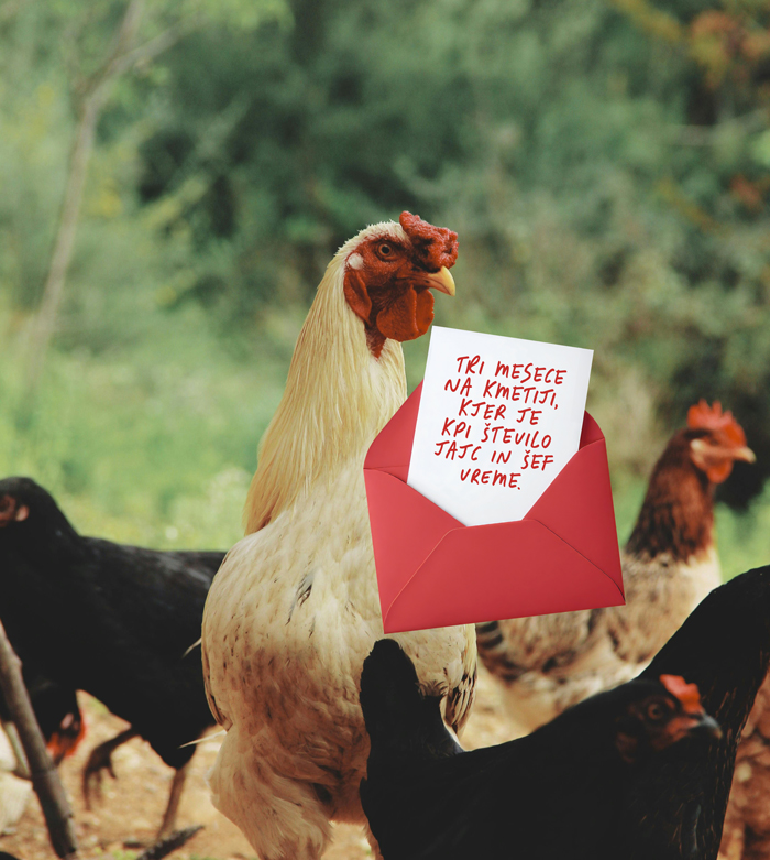 Štipenzija na kmetiji