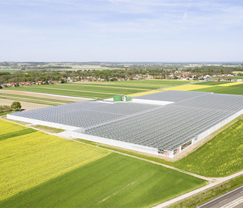 Rastlinjaki Paradajz Lušt z geotermalnim ogrevanjem in trajnostnimi rešitvami pridelave paradižnika.