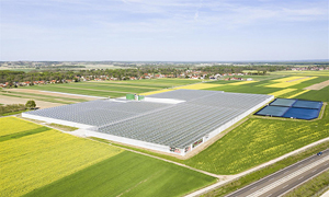 Rastlinjaki Paradajz Lušt z geotermalnim ogrevanjem in trajnostnimi rešitvami pridelave paradižnika.