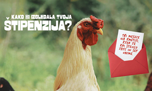 V zavarovalnici Generali mladim želijo približati svet zavarovalništva in postati njihov vseživljenjski partner tukaj in zdaj.