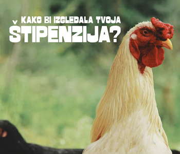 V letu 2026 bodo v zavarovalnici Generali podprli do 6 mladih, ki jih bodo prepričali s svojimi idejami, kako bi izkoristili mini penzijo