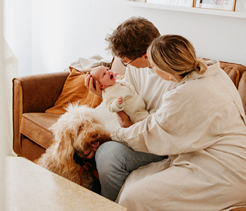 Mlad par sedi na kavču v dnevni sobi in pestuje majhnega otroka, ob njiju je pes z dolgo dlako; prizor prikazuje domačo družinsko bližino.