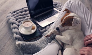 Zavarovanje Moj kuža