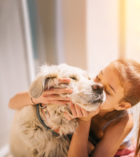 Zavarovanje Moj kuža za zavarovanje psa