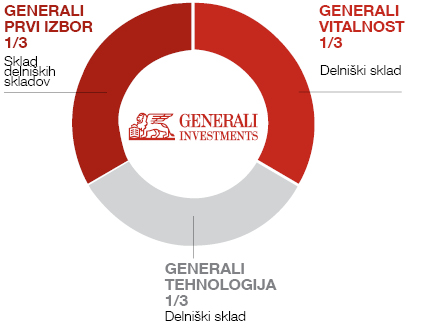 Naložbena politika Zmagovalna kombinacija