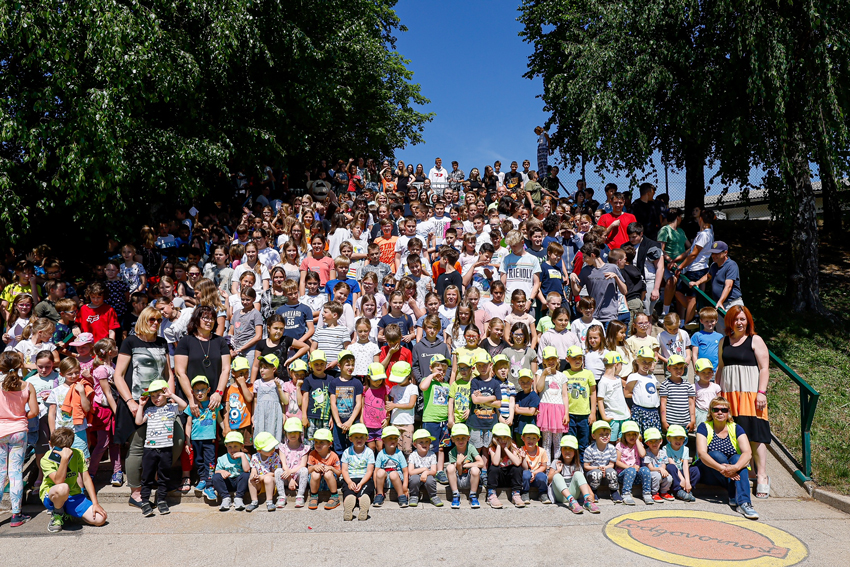 V Kranju so se 3D zebre razveselili šolarji v Predosljah.